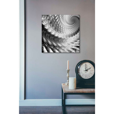 Image of 'Helix II' by James Burghardt Giclee Canvas Wall Art