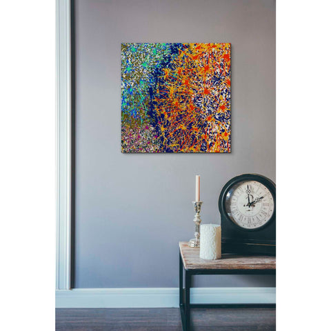 Image of 'Profusion I' by James Burghardt Giclee Canvas Wall Art