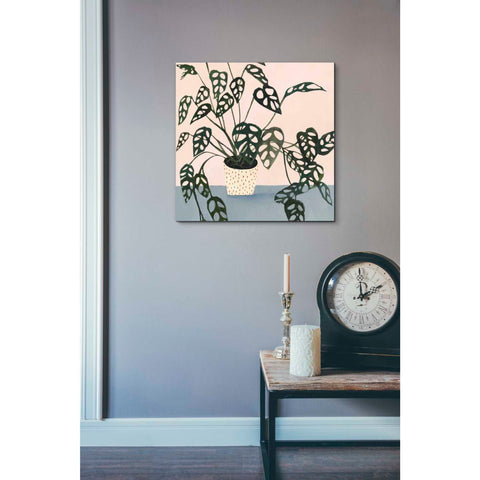 Image of 'Houseplant I' by Victoria Borges Canvas Wall Art,18 x 18