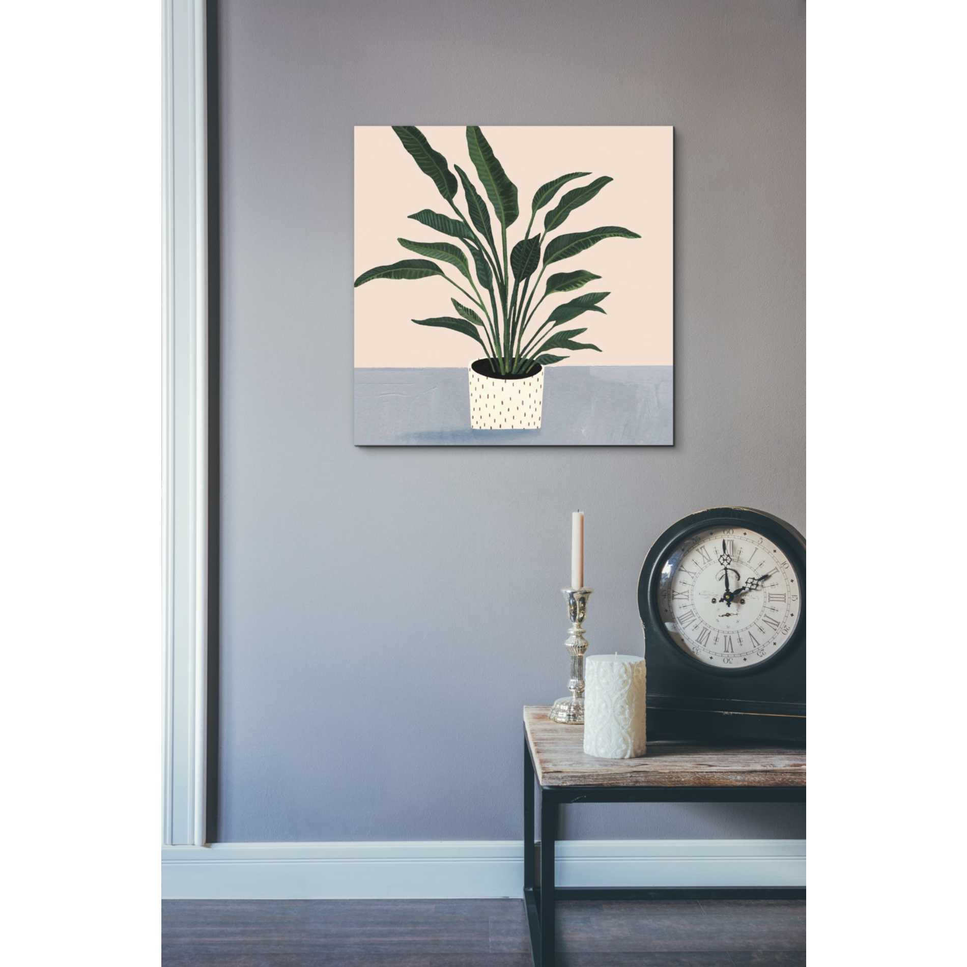 'Houseplant IV' by Victoria Borges Canvas Wall Art,18 x 18