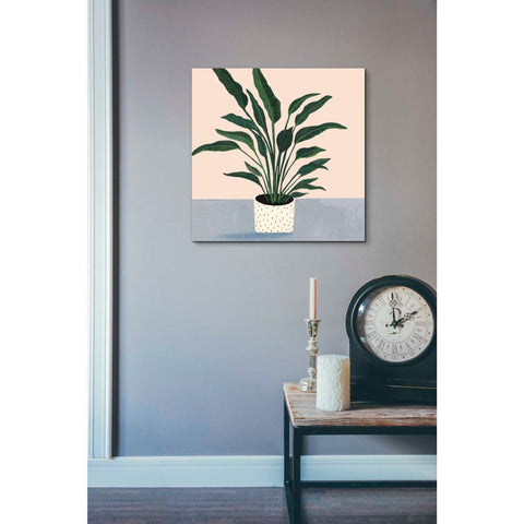 Image of 'Houseplant IV' by Victoria Borges Canvas Wall Art,18 x 18