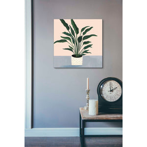 'Houseplant IV' by Victoria Borges Canvas Wall Art,18 x 18