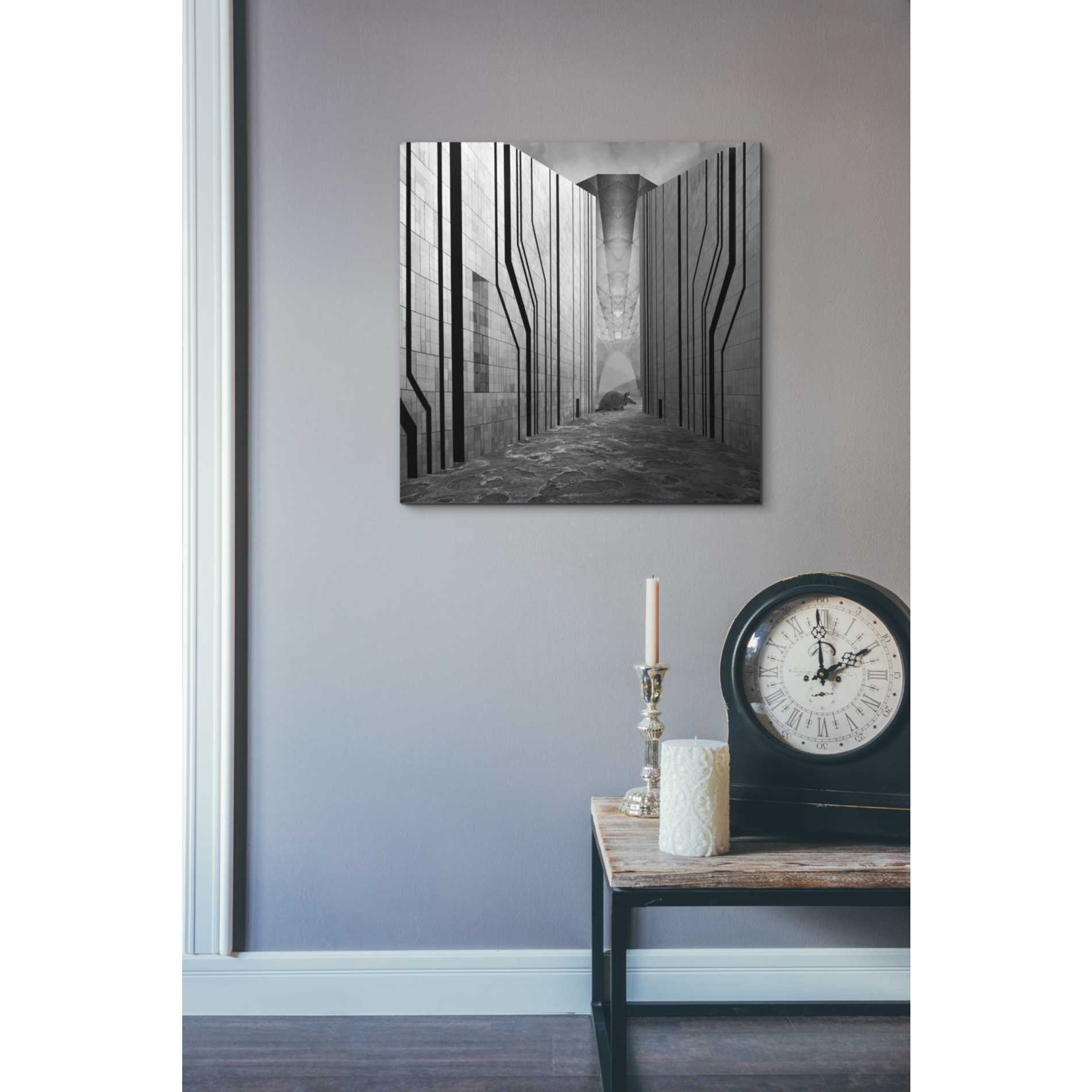 'Armadillo' by Dariusz Klimczak, Giclee Canvas Wall Art