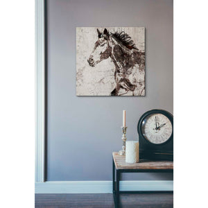 'Galloping Horse 2' by Irena Orlov, Canvas Wall Art,18 x 18
