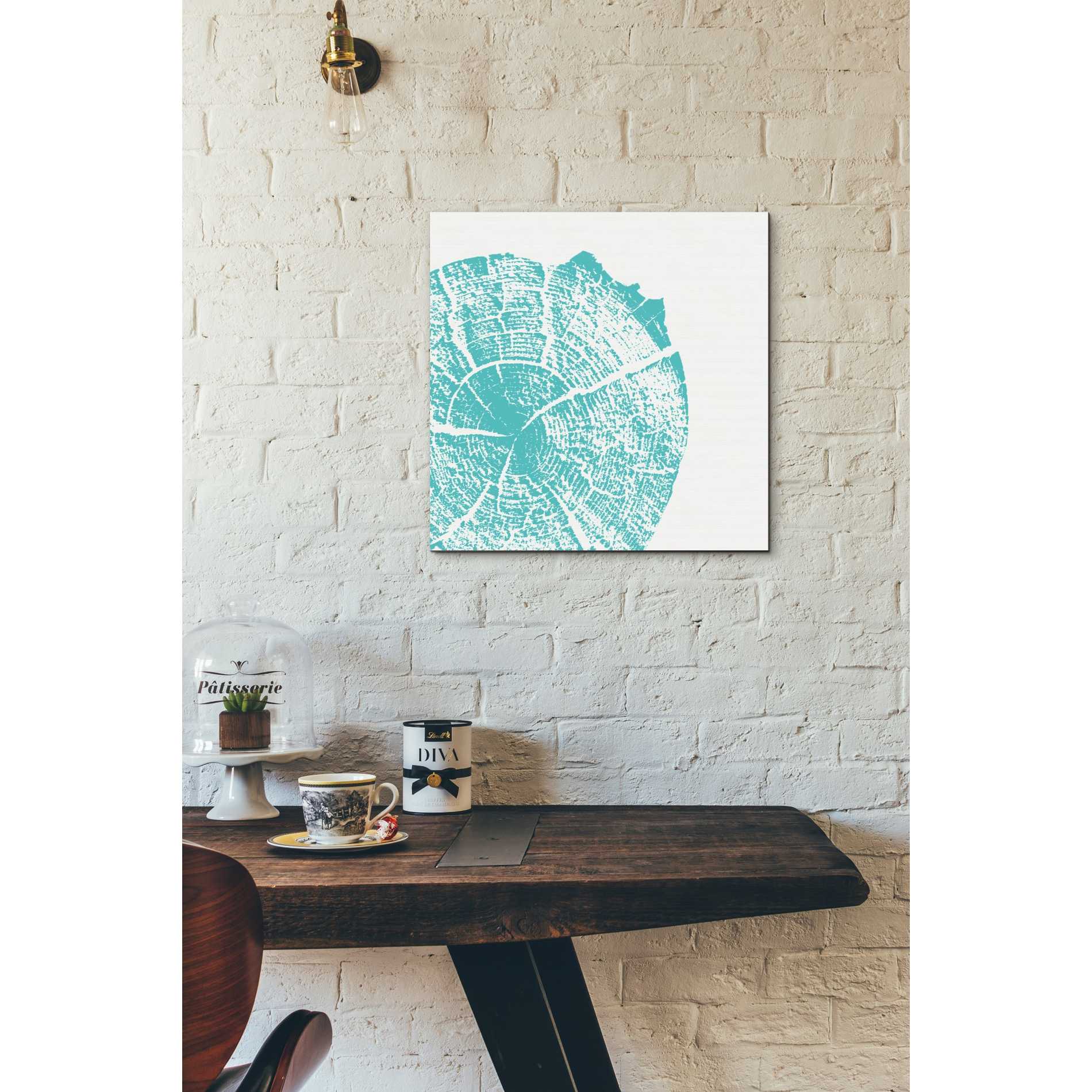 'Aqua Slice' by Linda Woods, Canvas Wall Art,18 x 18