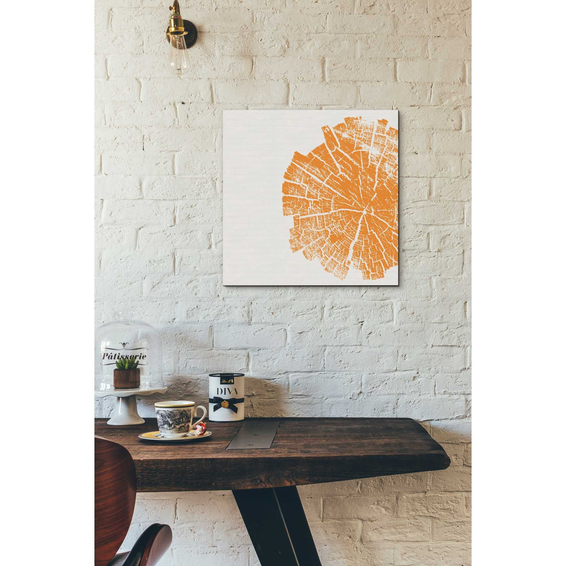 'Orange Slice' by Linda Woods, Canvas Wall Art,18 x 18