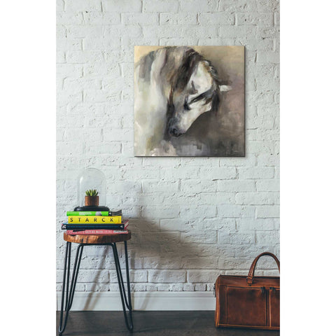 Image of 'Classical Horse' by Marilyn Hageman, Canvas Wall Art,18 x 18