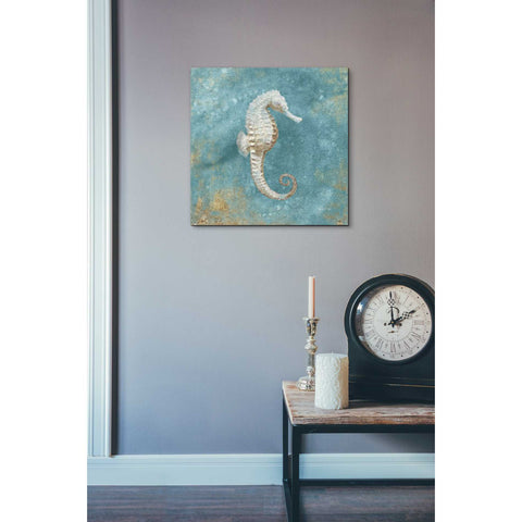 Image of 'Treasures From The Sea I' by Danhui Nai, Canvas Wall Art,18 x 18
