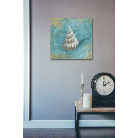 Image of 'Treasures From The Sea II' by Danhui Nai, Canvas Wall Art,18 x 18