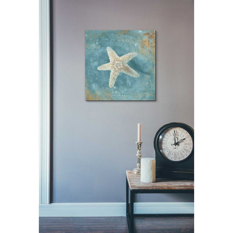 Image of 'Treasures From The Sea IV' by Danhui Nai, Canvas Wall Art,18 x 18