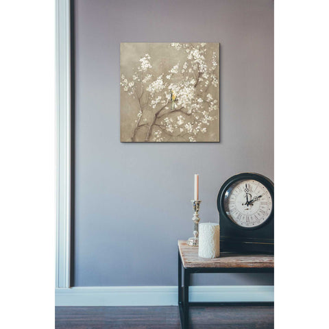 Image of 'White Cherry Blossom I Neutral' by Danhui Nai, Canvas Wall Art,18 x 18