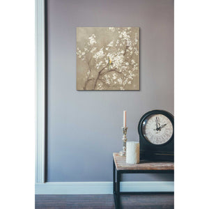 'White Cherry Blossom I Neutral' by Danhui Nai, Canvas Wall Art,18 x 18