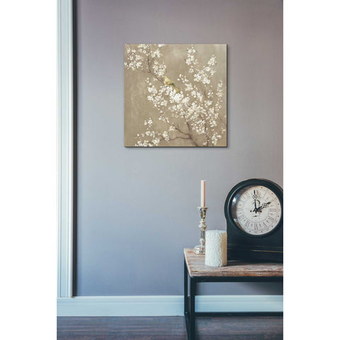 Image of 'White Cherry Blossom II Neutral' by Danhui Nai, Canvas Wall Art,18 x 18