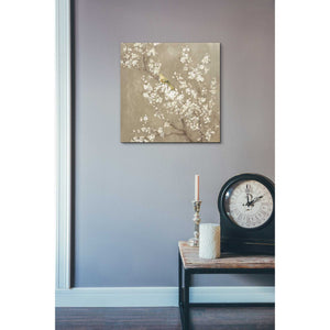'White Cherry Blossom II Neutral' by Danhui Nai, Canvas Wall Art,18 x 18