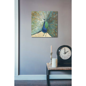'Blue Peacock' by Danhui Nai, Canvas Wall Art,18 x 18