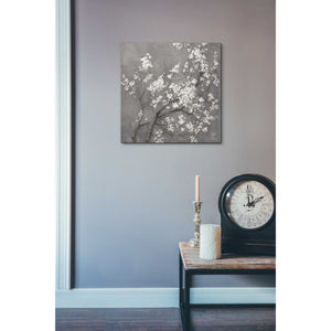 'White Cherry Blossom I on Grey' by Danhui Nai, Canvas Wall Art,18 x 18