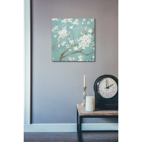 Image of 'White Cherry Blossom I on Blue' by Danhui Nai, Canvas Wall Art,18 x 18