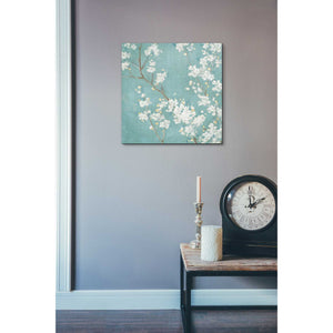 'White Cherry Blossom II on Blue' by Danhui Nai, Canvas Wall Art,18 x 18