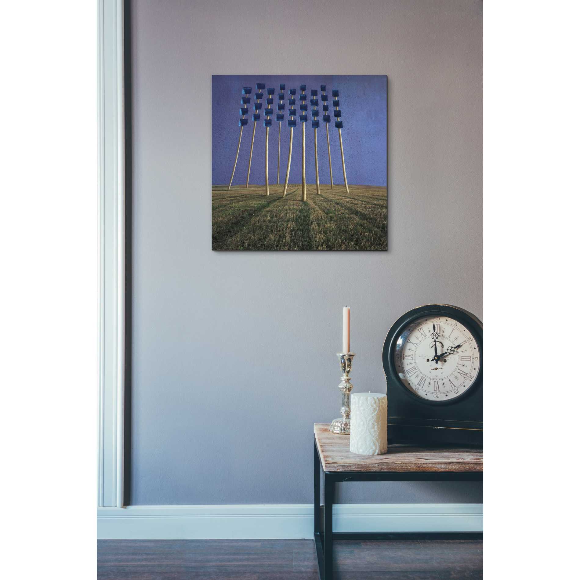 'Flowers' by Dariusz Klimczak, Canvas Wall Art,18 x 18