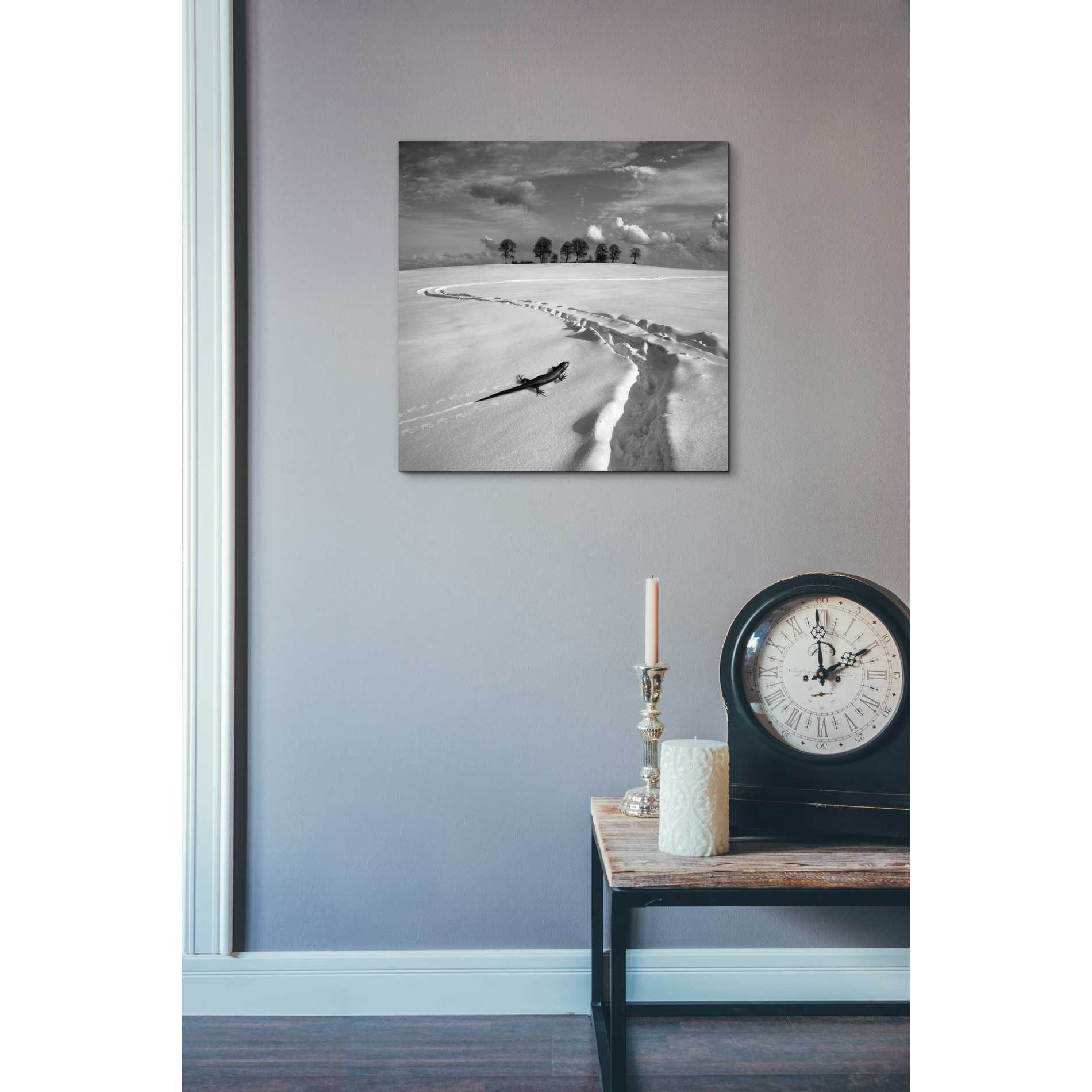 'Snowy Lizard' by Dariusz Klimczak, Canvas Wall Art,18 x 18