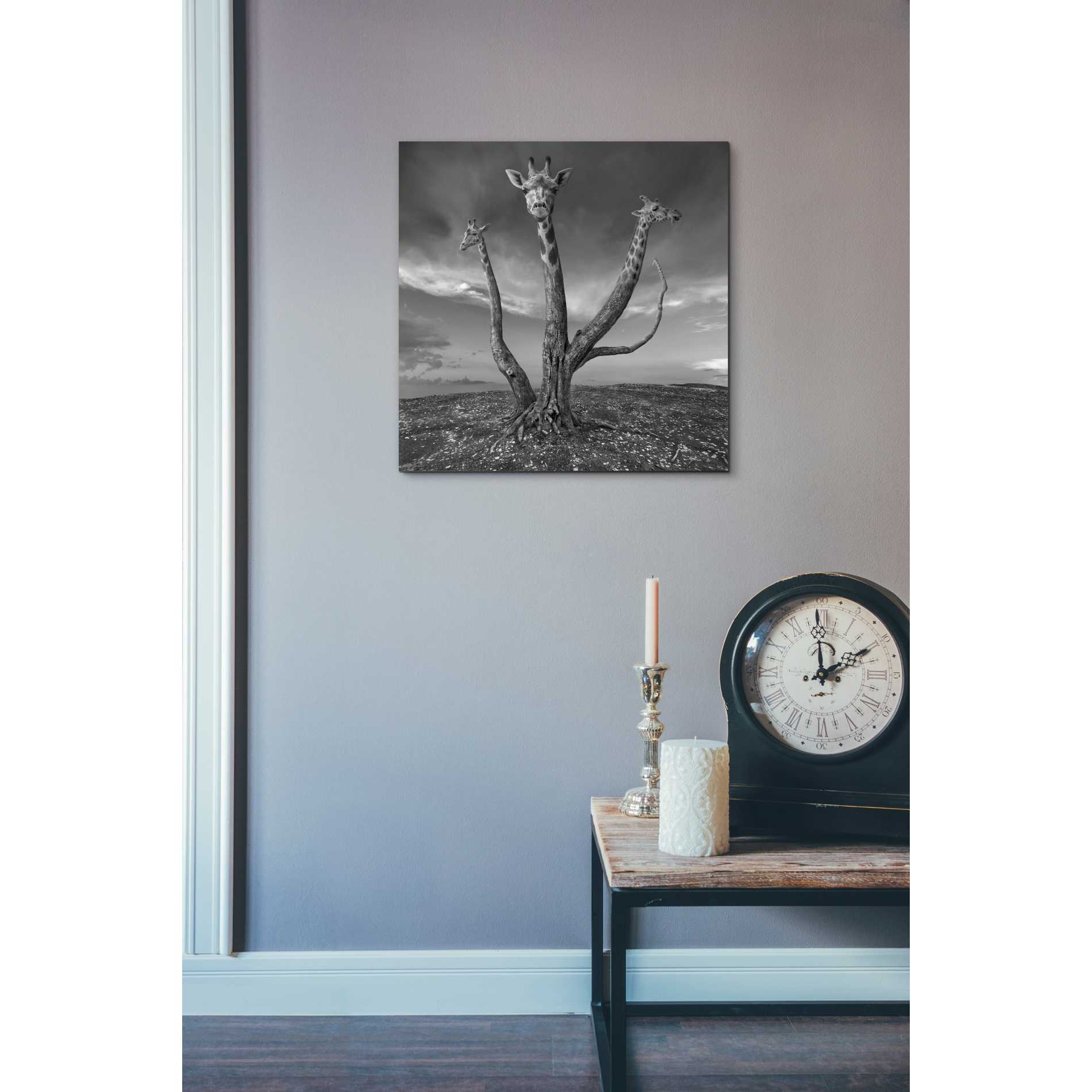 'Giratree' by Dariusz Klimczak, Canvas Wall Art,18 x 18