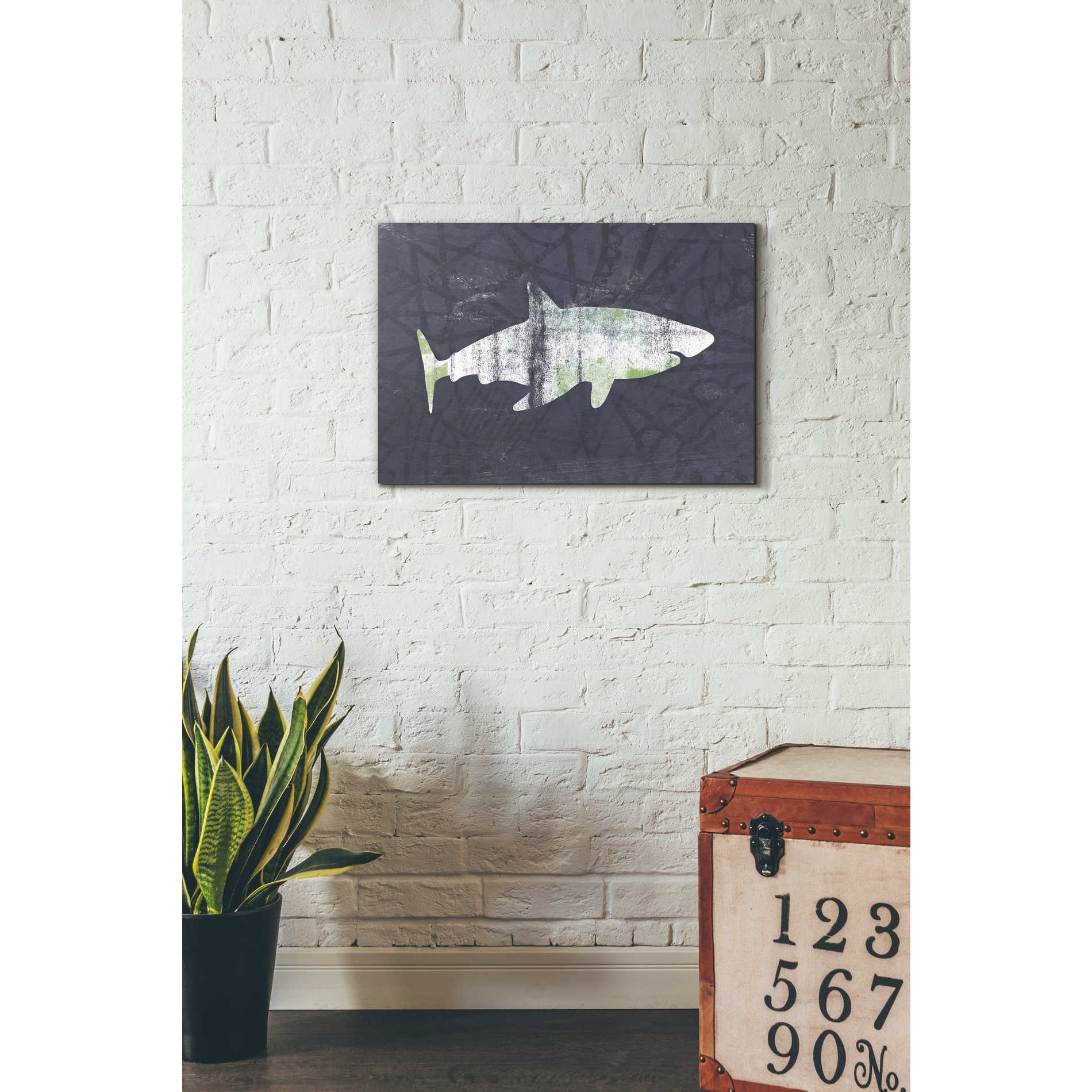 'Shark I' by Linda Woods, Canvas Wall Art,18 x 26