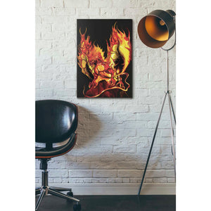 'Dragon Fire' by Michael StewArt, Canvas Wall Art,18 x 26