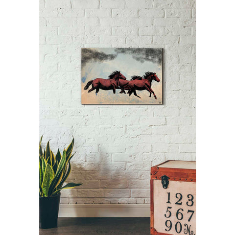 Image of 'Horses' by Giuseppe Cristiano, Canvas Wall Art,18 x 26