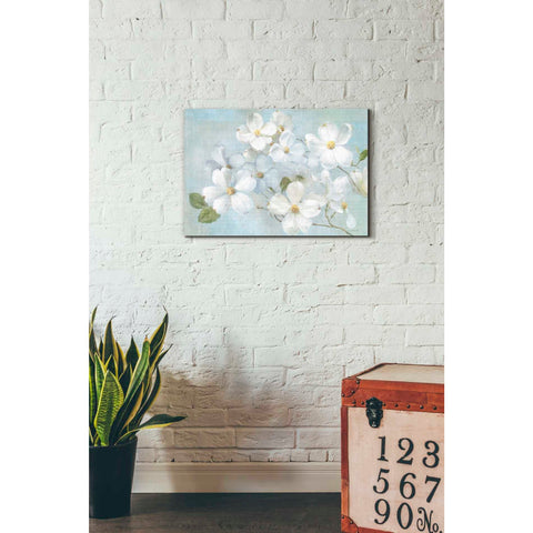 Image of 'Indiness Blossoms Light' by Danhui Nai, Canvas Wall Art,18 x 26