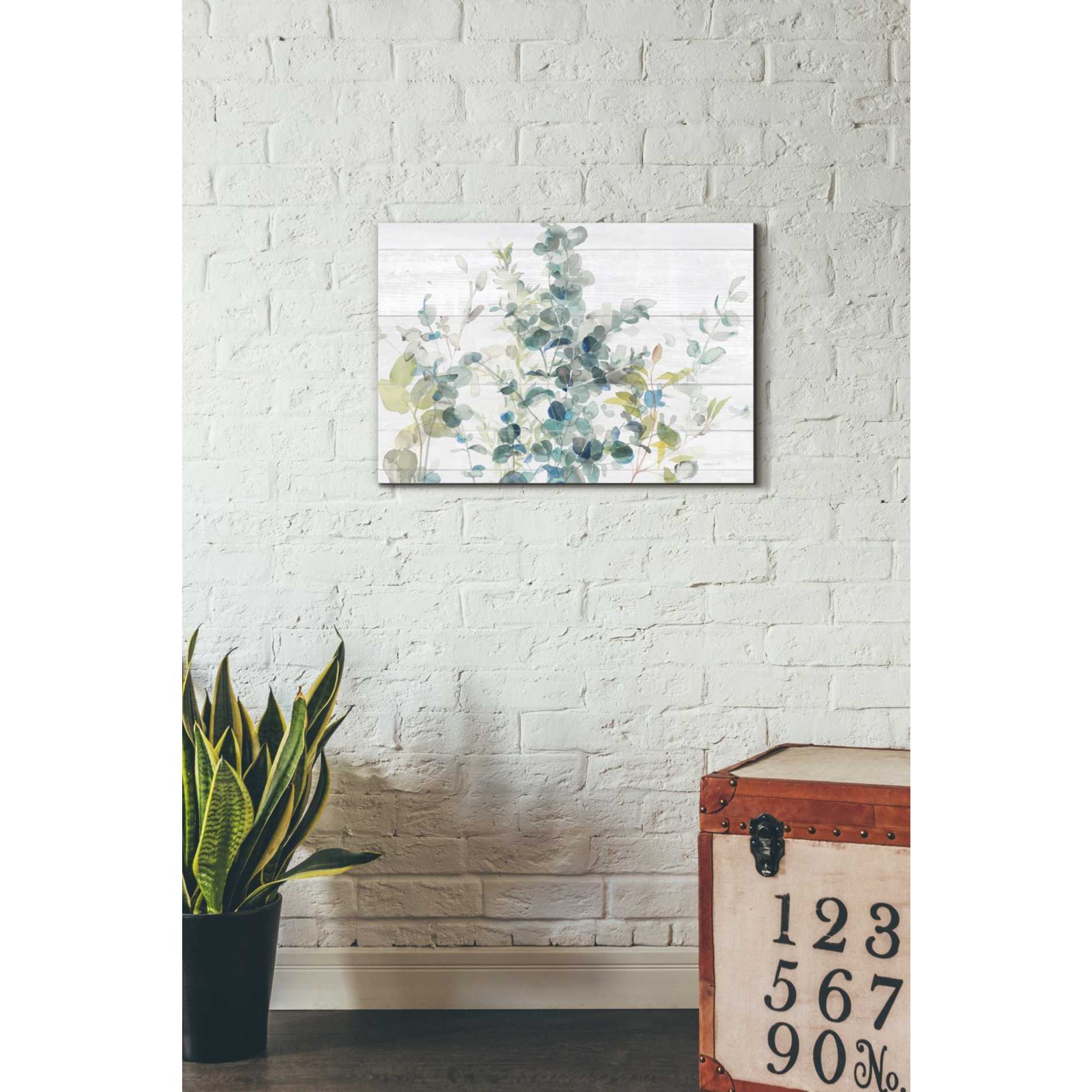 'Eucalyptus I on Shiplap Crop' by Danhui Nai, Canvas Wall Art,18 x 26