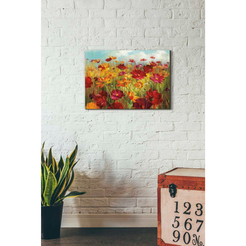 Image of 'Cosmos in the Field' by Danhui Nai, Canvas Wall Art,18 x 26