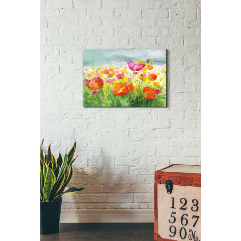 Image of 'Meadow Poppies' by Danhui Nai, Canvas Wall Art,18 x 26