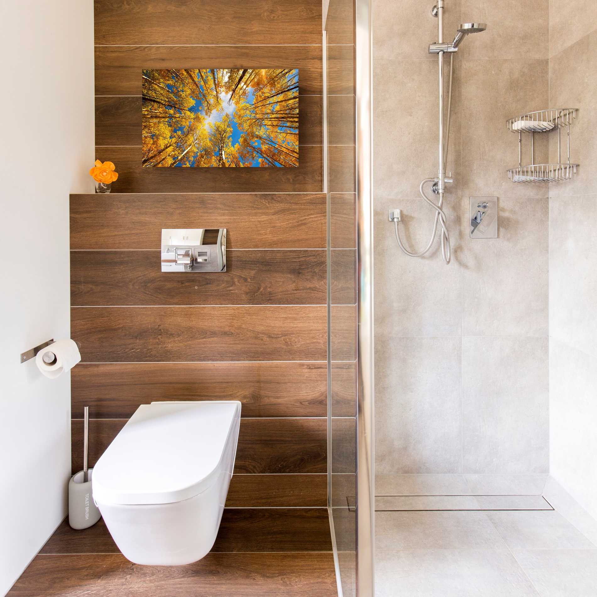 'Towering Aspens' by Darren White, Canvas Wall Art,18 x 26