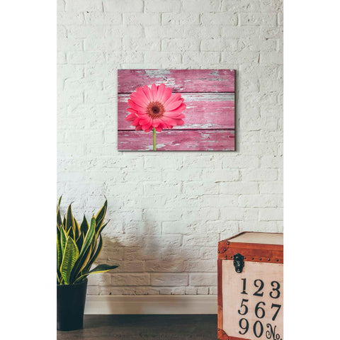 Image of 'Pink Beginnings' Canvas Wall Art,18 x 26