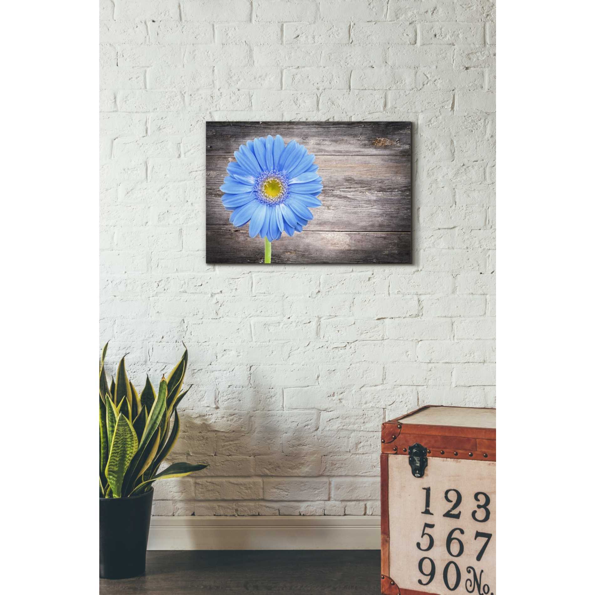 'Serenity' Canvas Wall Art,18 x 26