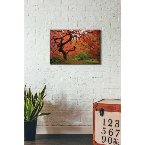 Image of 'Tree Fire' by Darren White, Canvas Wall Art,18 x 26