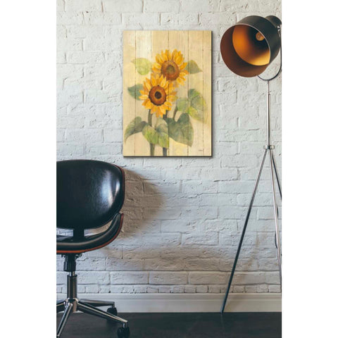Image of 'Summer Sunflowers I on Barn Board' by Albena Hristova, Canvas Wall Art,18 x 26