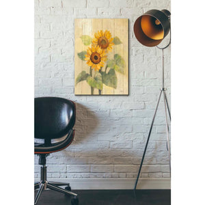 'Summer Sunflowers I on Barn Board' by Albena Hristova, Canvas Wall Art,18 x 26