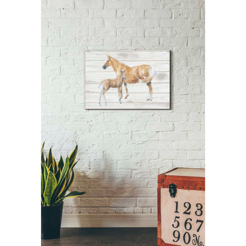 Image of 'Horse and Colt on Wood' by Emily Adams, Canvas Wall Art,18 x 26