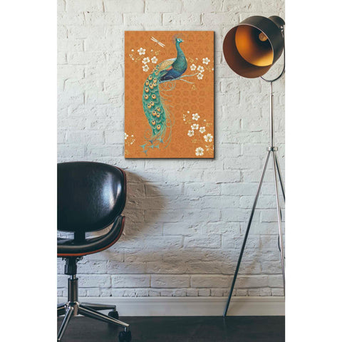 Image of 'Ornate Peacock IX Spice' by Daphne Brissonet, Canvas Wall Art,18 x 26