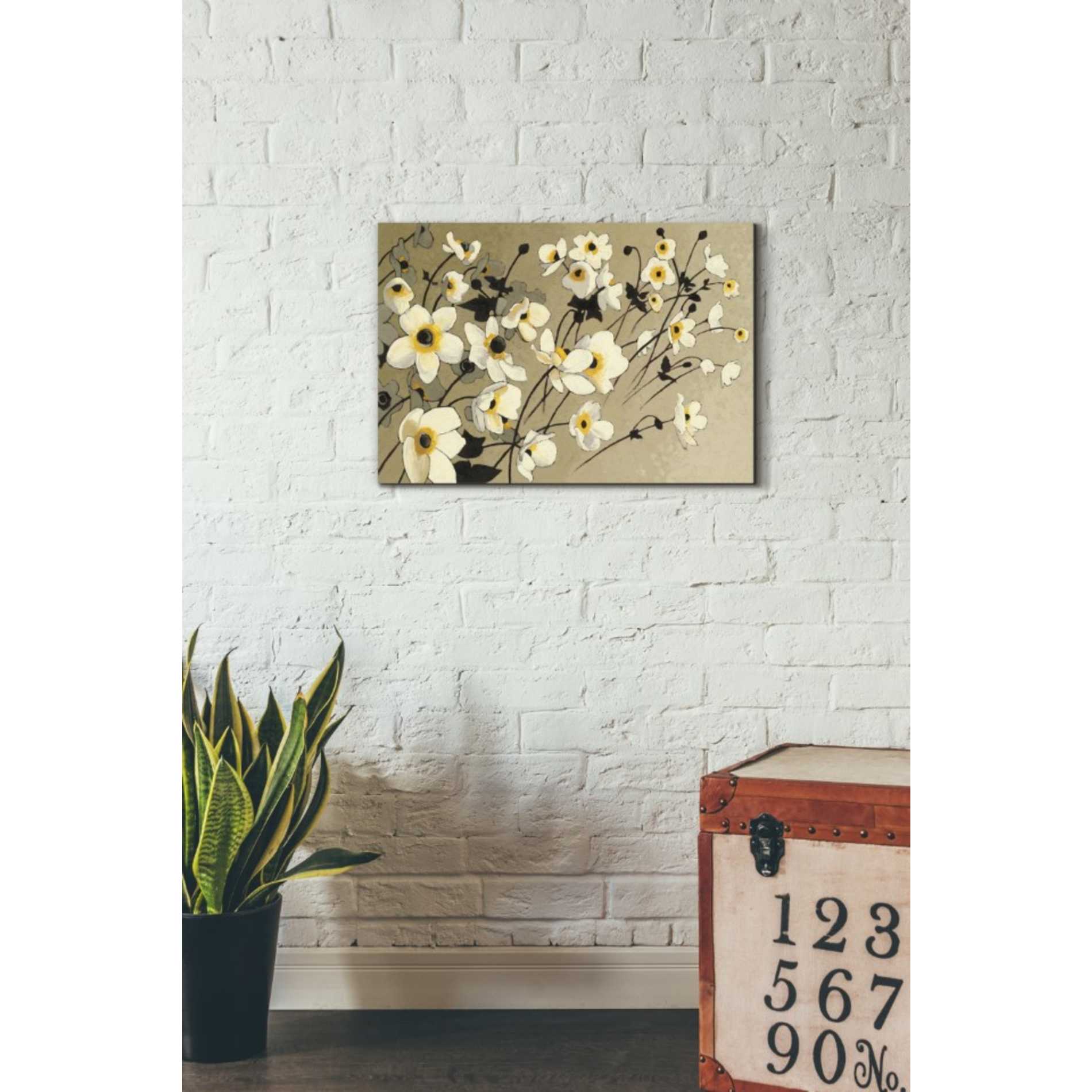 'Anemones Japonaises Blancs' by Shirley Novak, Canvas Wall Art,26 x 18