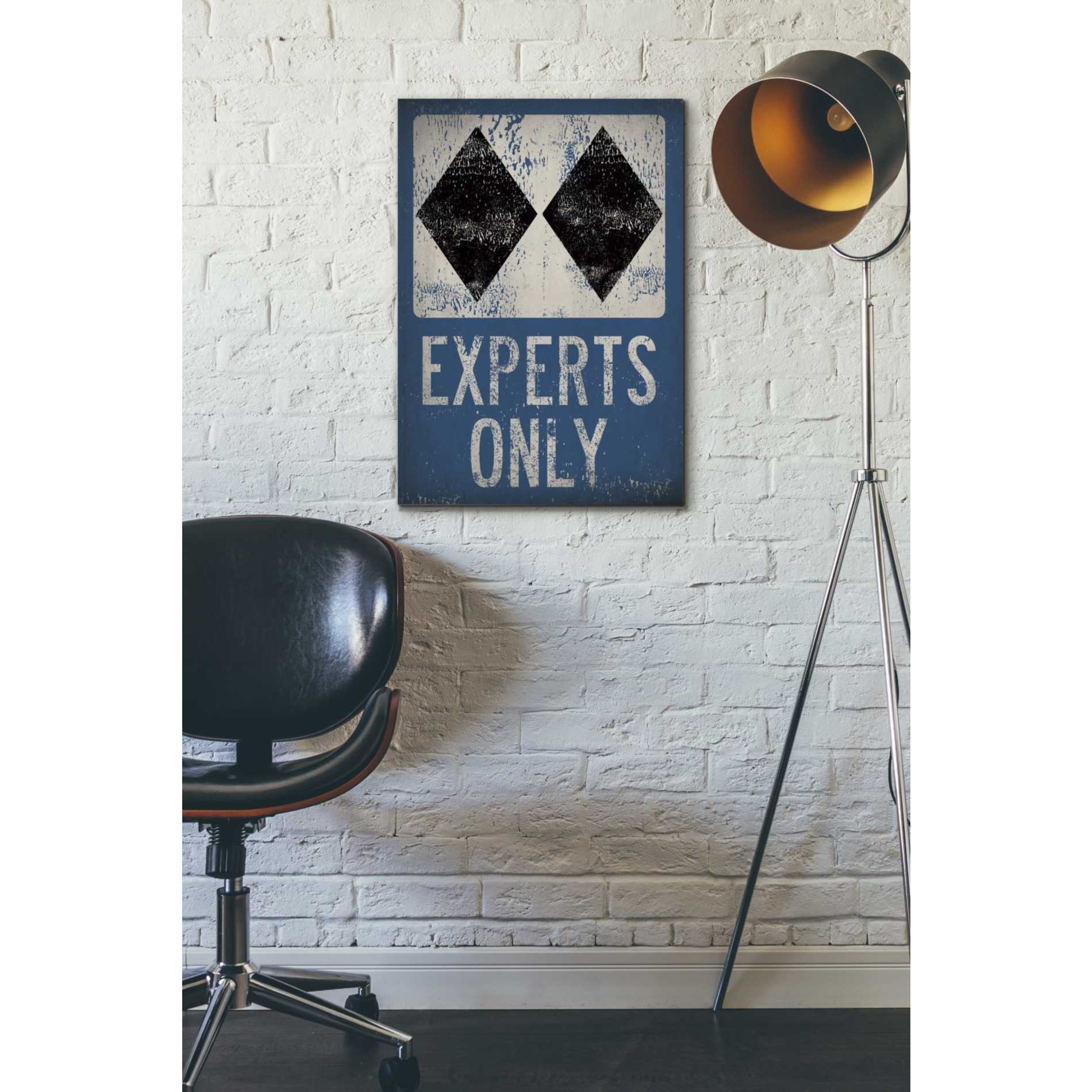 'Experts Only Blue' by Ryan Fowler, Canvas Wall Art,18 x 26