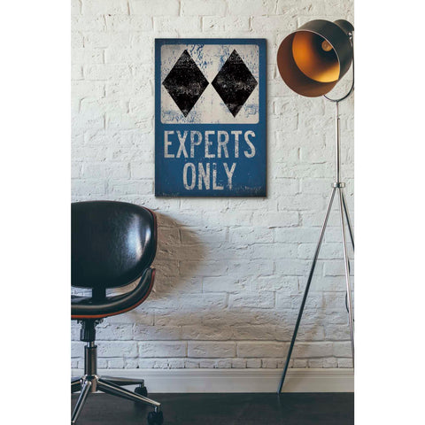 Image of 'Experts Only Blue' by Ryan Fowler, Canvas Wall Art,18 x 26