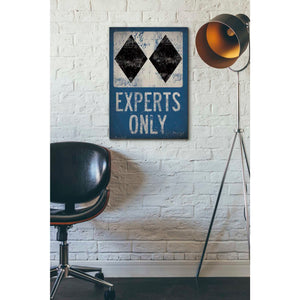 'Experts Only Blue' by Ryan Fowler, Canvas Wall Art,18 x 26