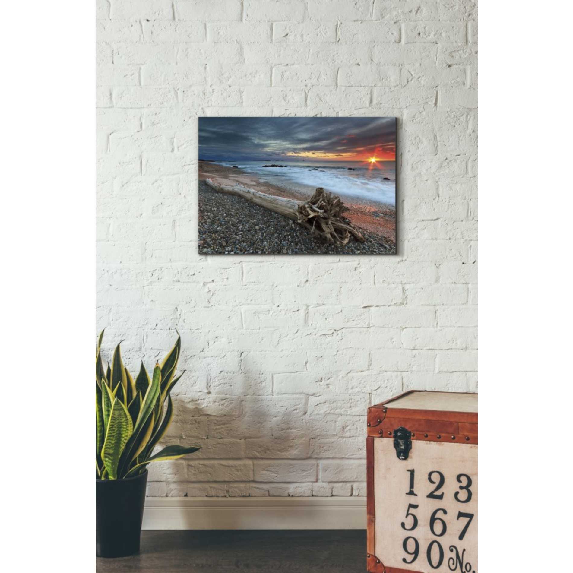 'Sakonnet Driftwood' by Katherine Gendreau, Giclee Canvas Wall Art