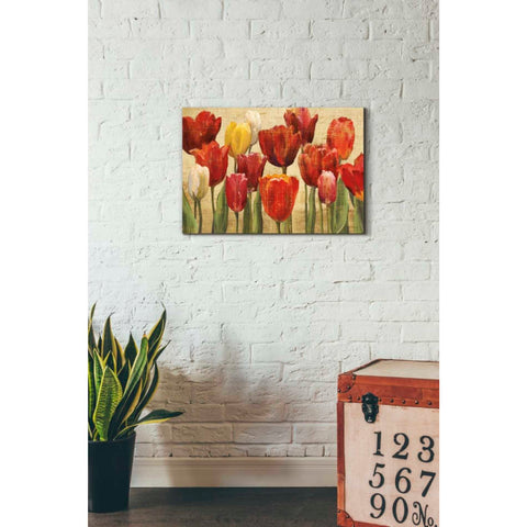 Image of 'Tulip Fantasy on Cream' by Marilyn Hageman, Canvas Wall Art,26 x 18