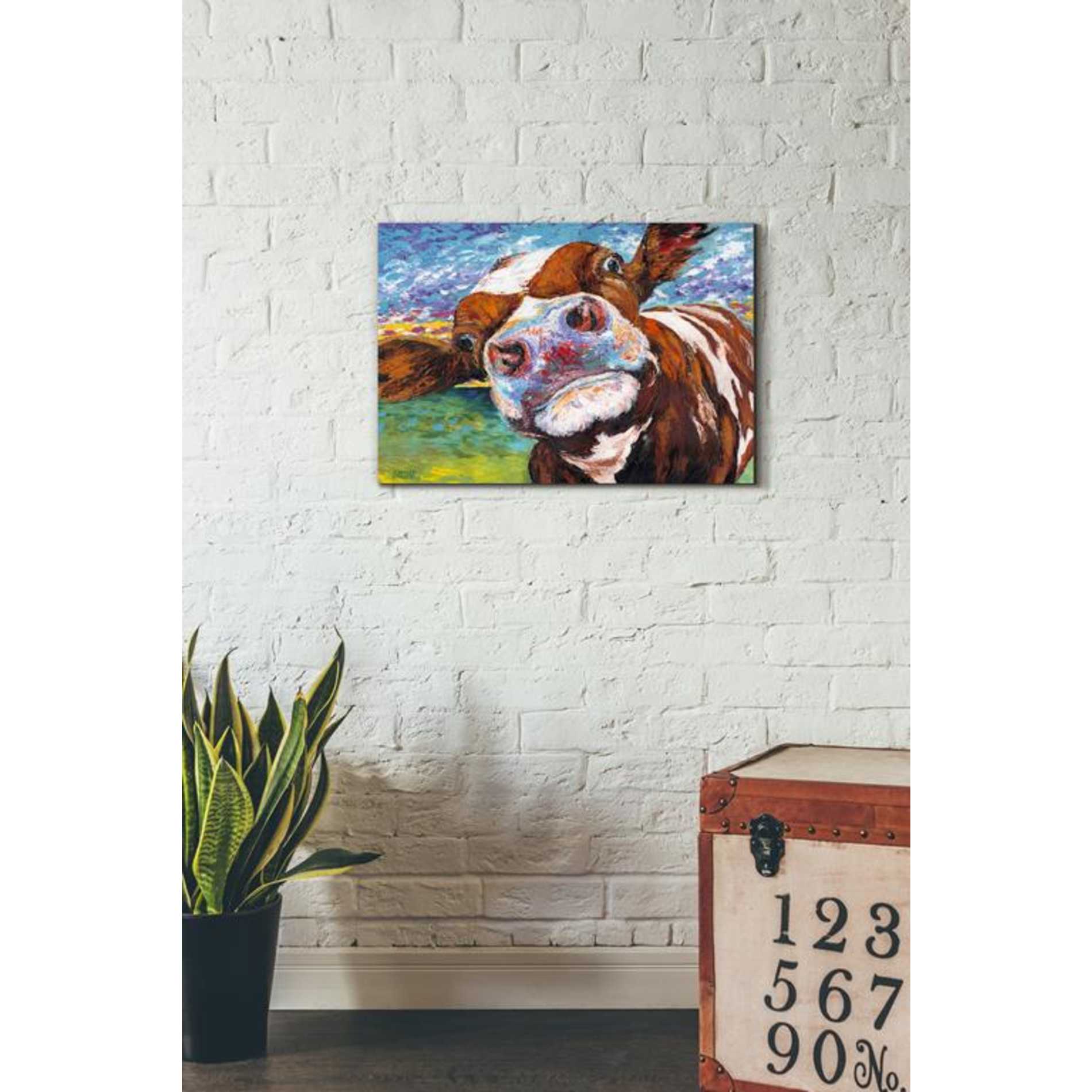 'Curious Cow I' by Carolee Vitaletti Giclee Canvas Wall Art