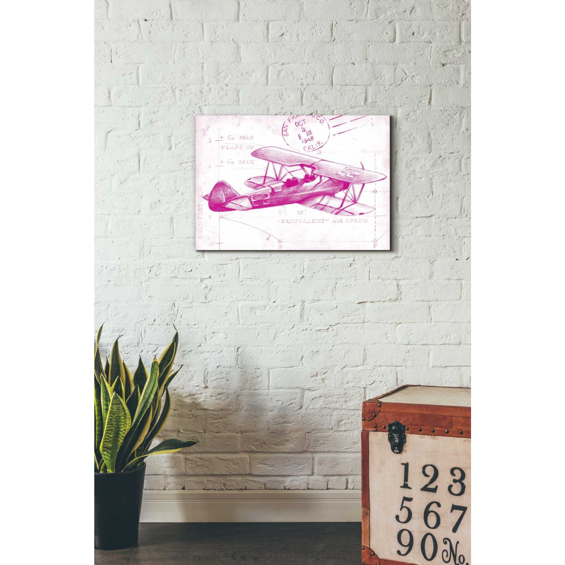 'Flight Schematic I in Pink' by Ethan Harper Canvas Wall Art,26 x 18