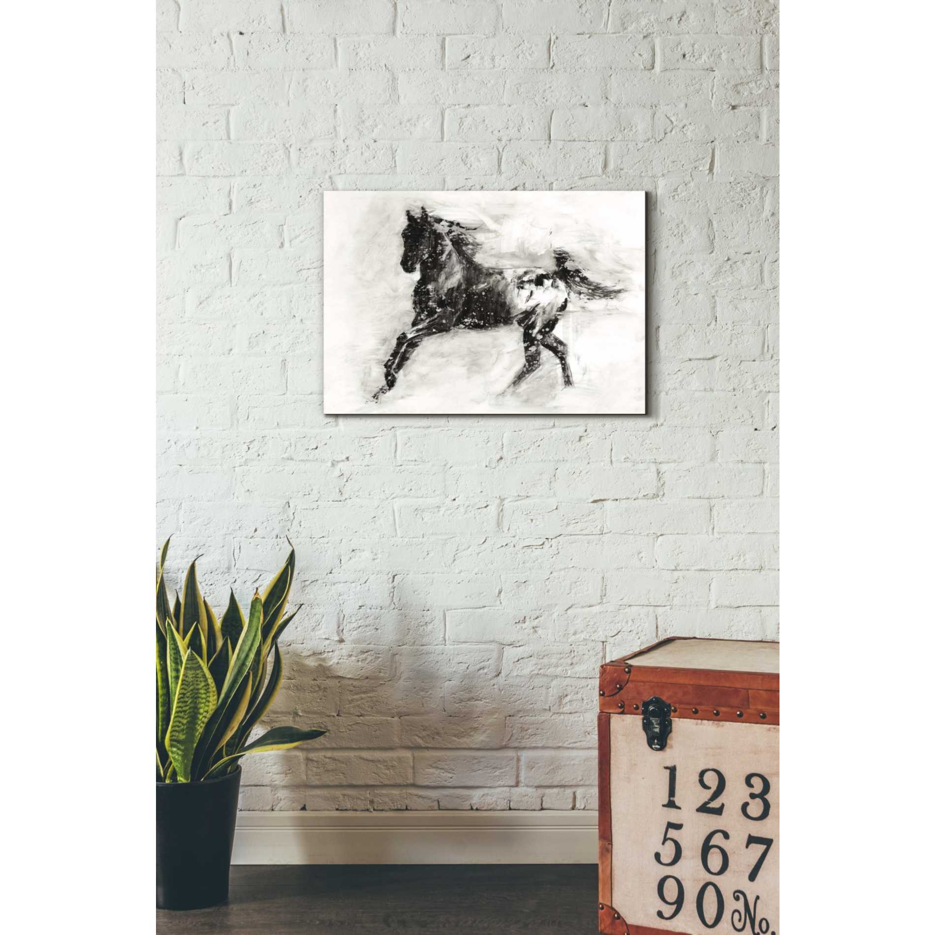 'Rustic Appaloosa II' by Ethan Harper Canvas Wall Art,26 x 18