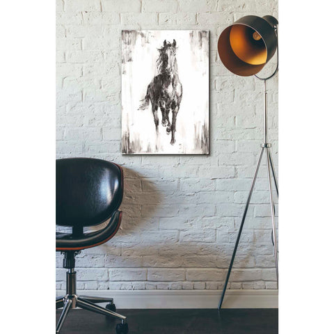Image of 'Rustic Black Stallion I' by Ethan Harper Canvas Wall Art,18 x 26